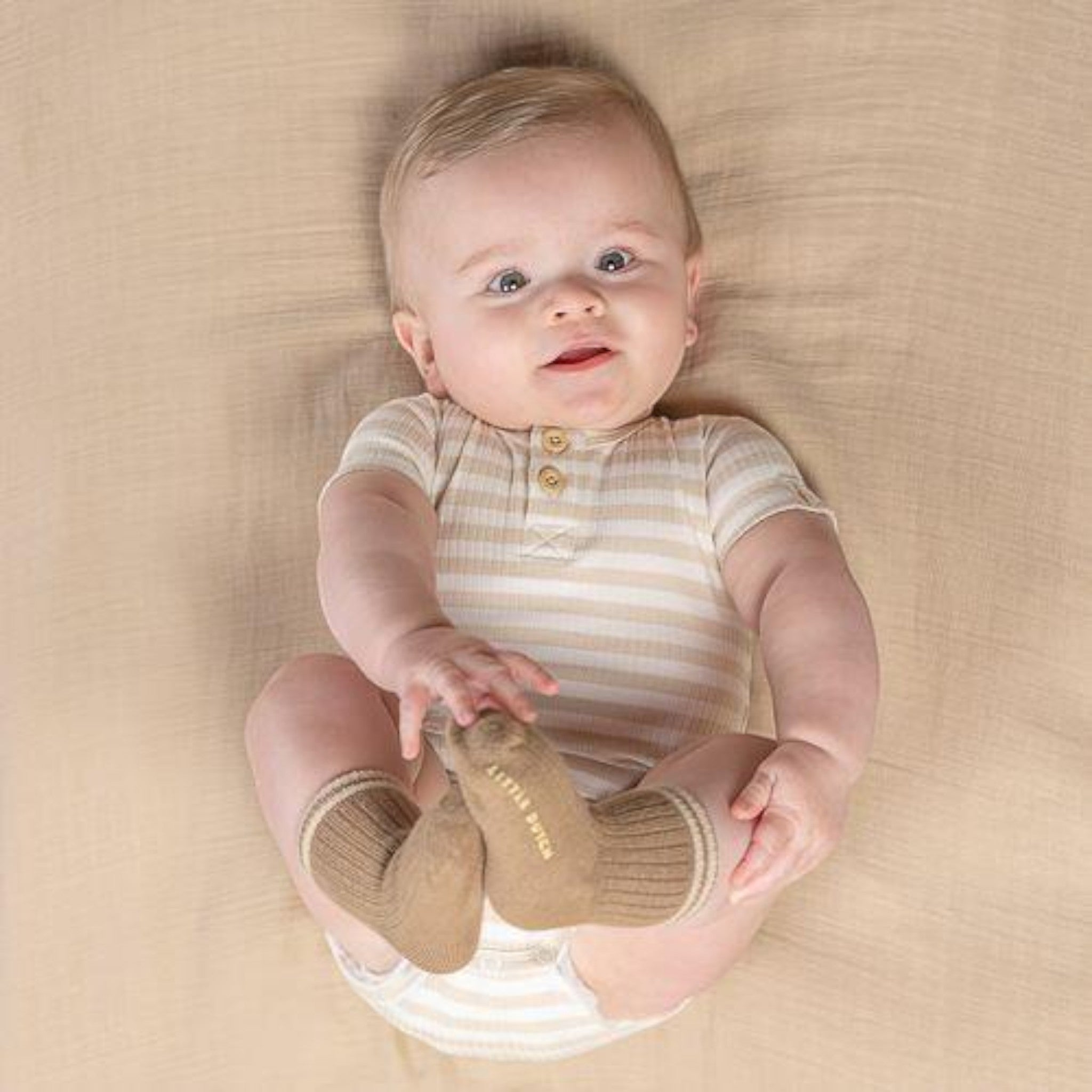 Socks in a pack of 3, Brown CL24229002