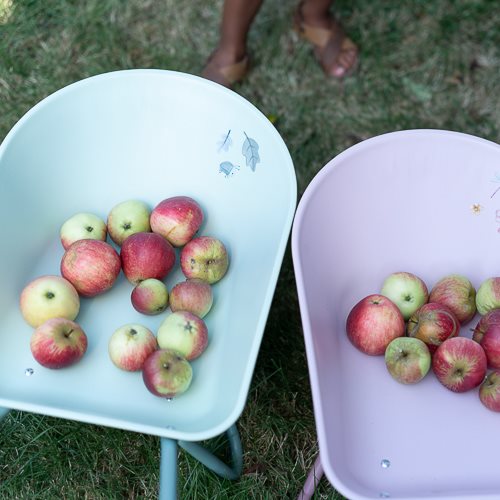 Carriola- Giardino delle fate  ROSA LD9124 -  NANU' BABY