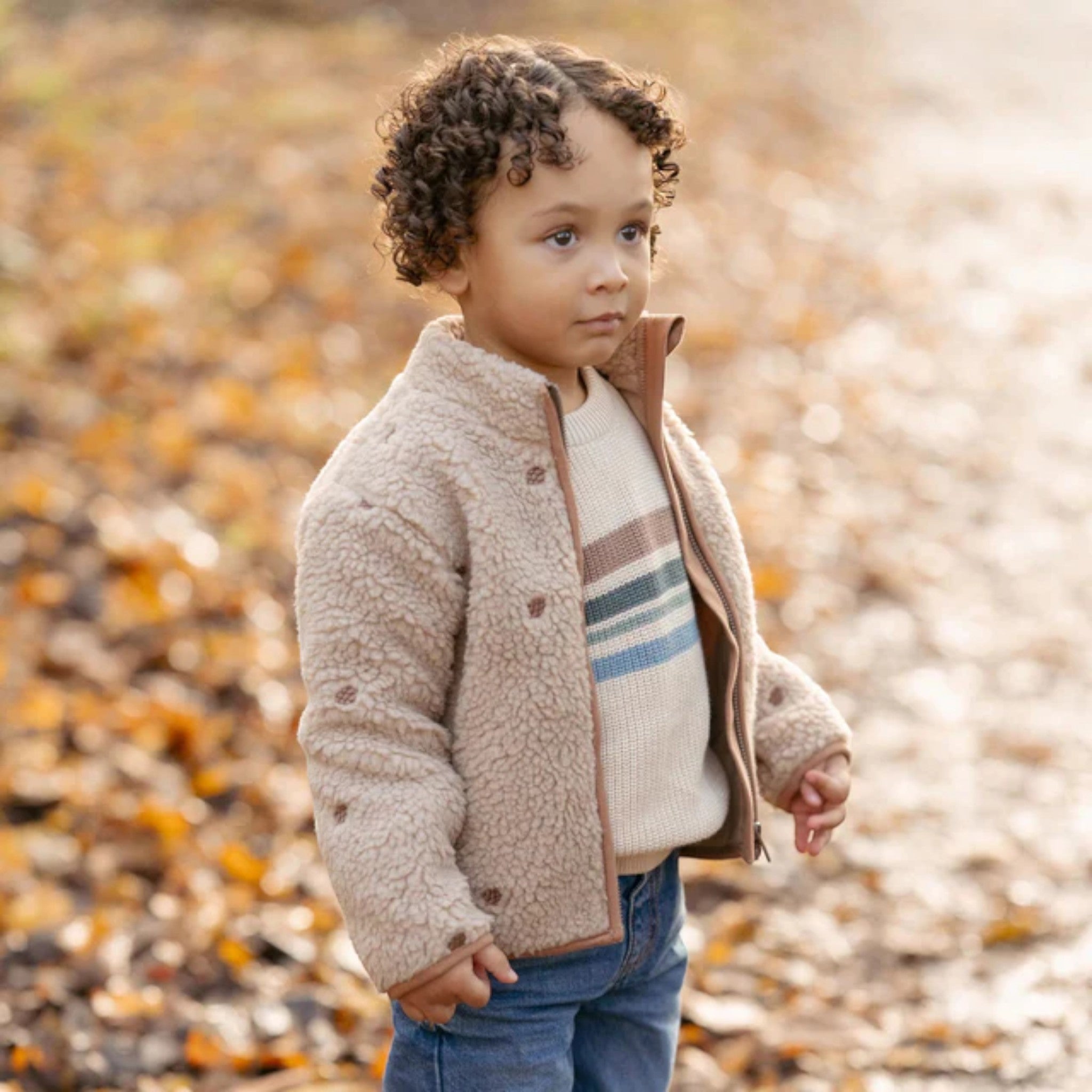 Knitted sweater - Forest Friends - Ivory Stripes Baby Boy CL25092080