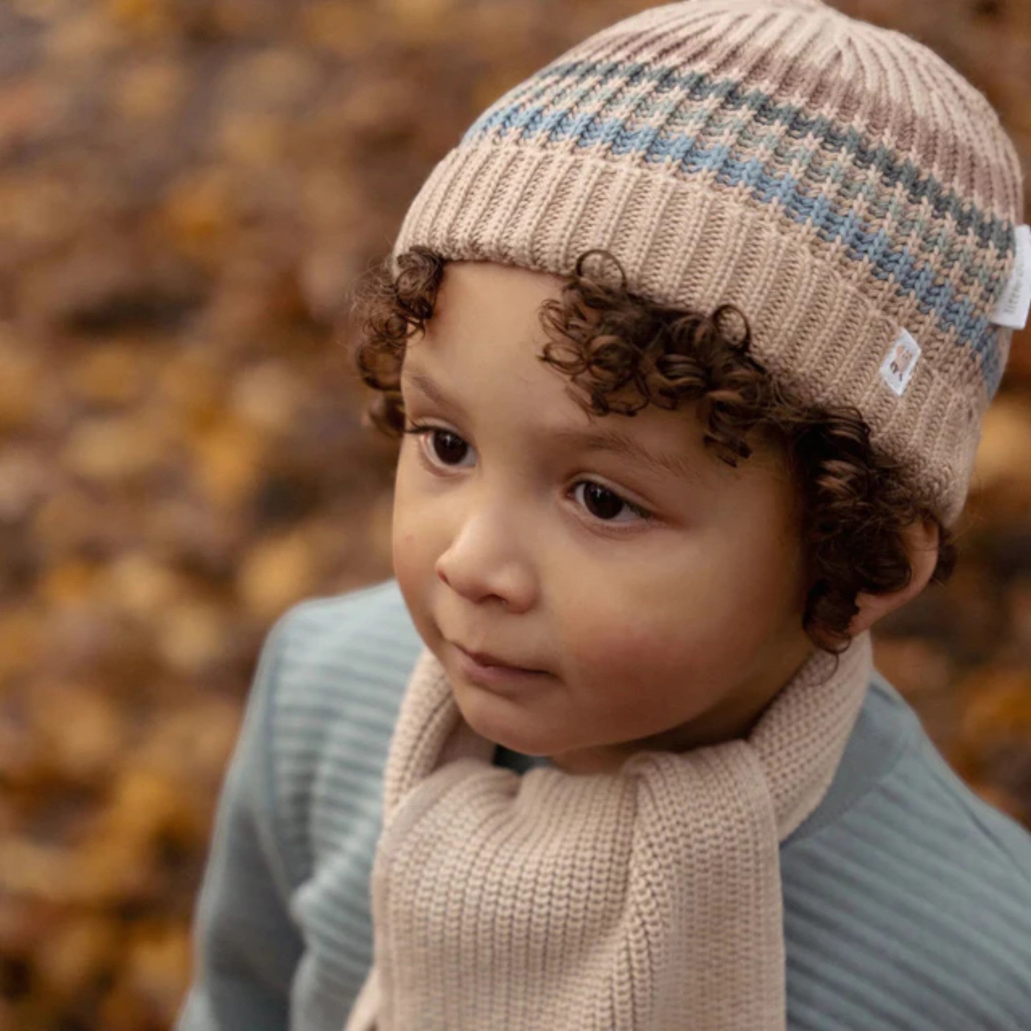 Hat - Forest Friends Boy Tortora CL25099019