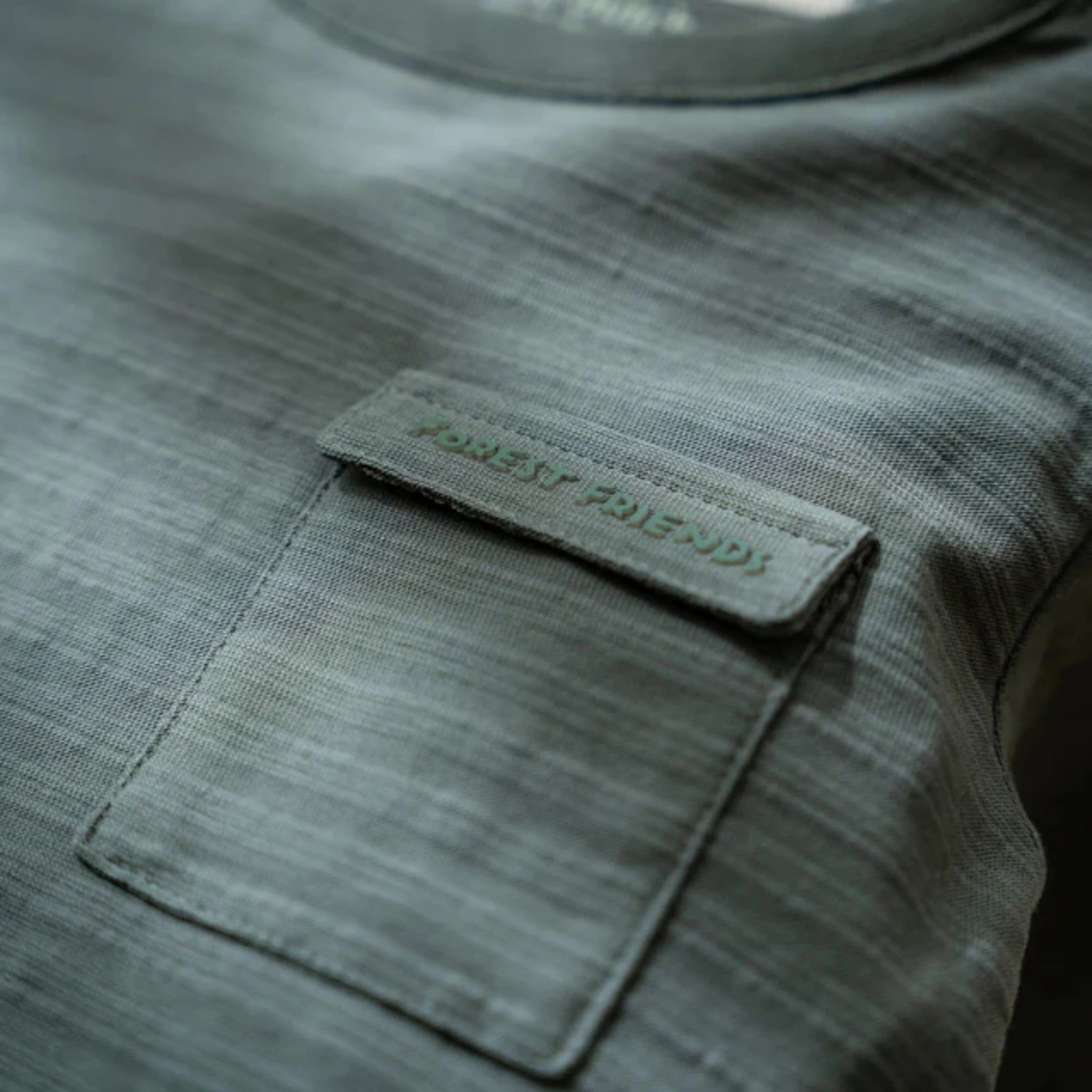 Maglietta a manica lunga - Amici della foresta Bimbo Verde CL25091061