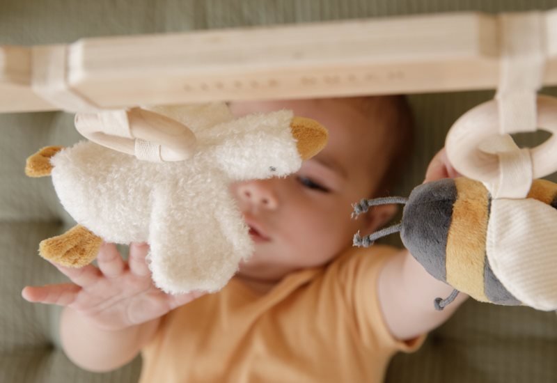 Palestrina Baby gym Little Goose Multicolore LD8510