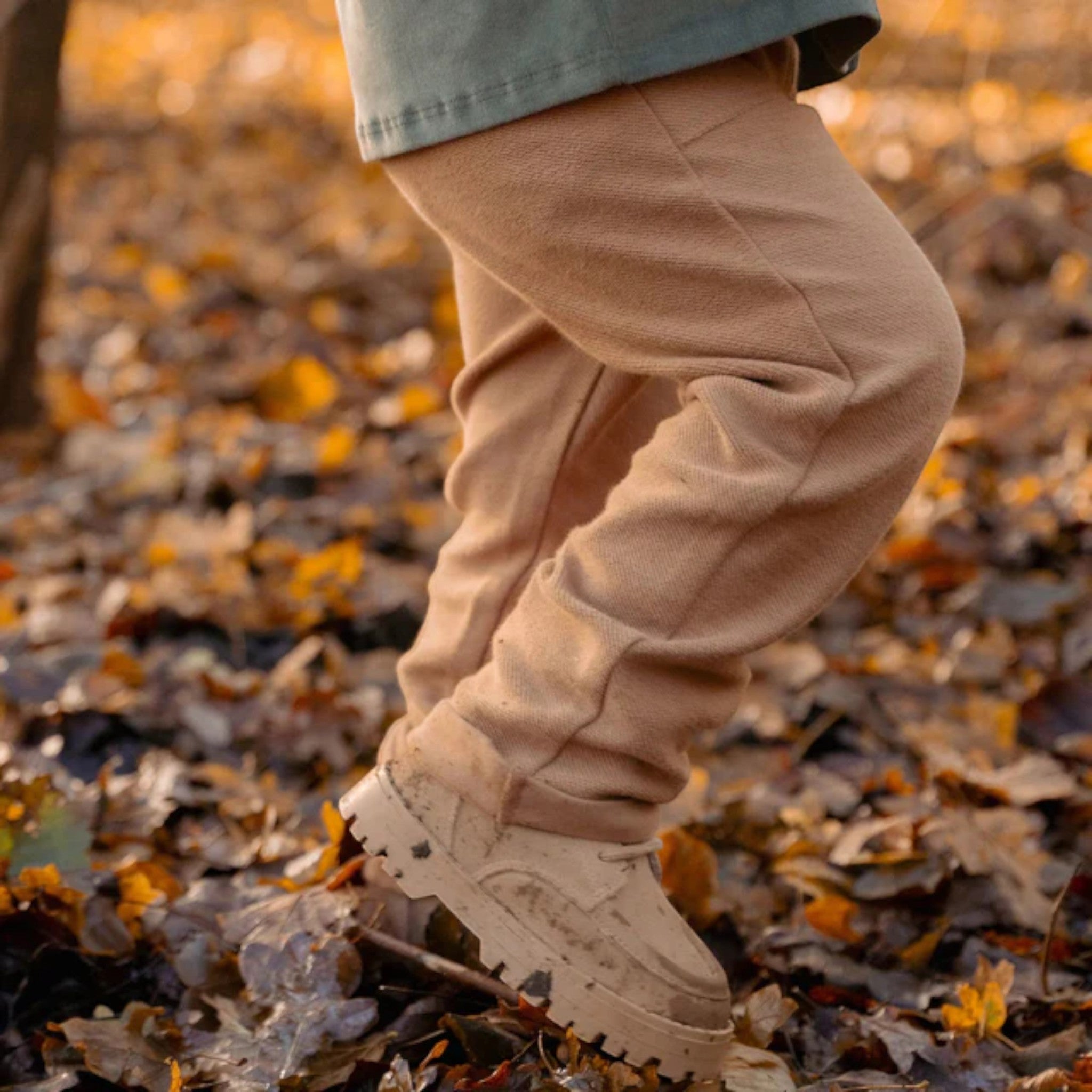 Pantaloni della tuta -  Amici della Foresta Bimbo Marrone CL25093055