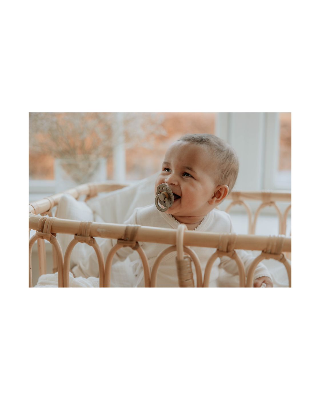 Set 2 ciucci Boheme Vaniglia/Rovere scuro  VANIGLIA 230106 -  NANU' BABY