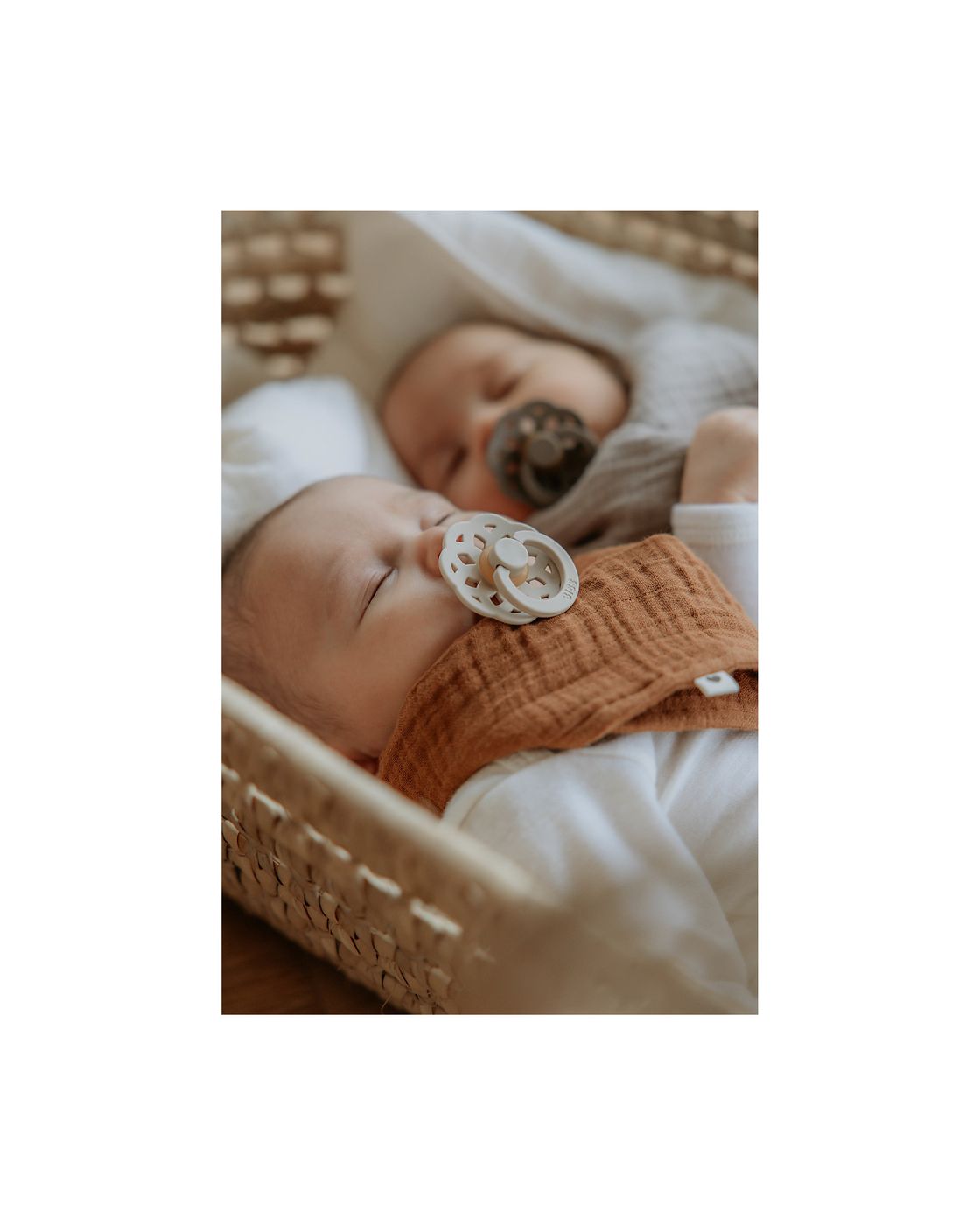 Set 2 ciucci Boheme Vaniglia/Rovere scuro  VANIGLIA 230106 -  NANU' BABY