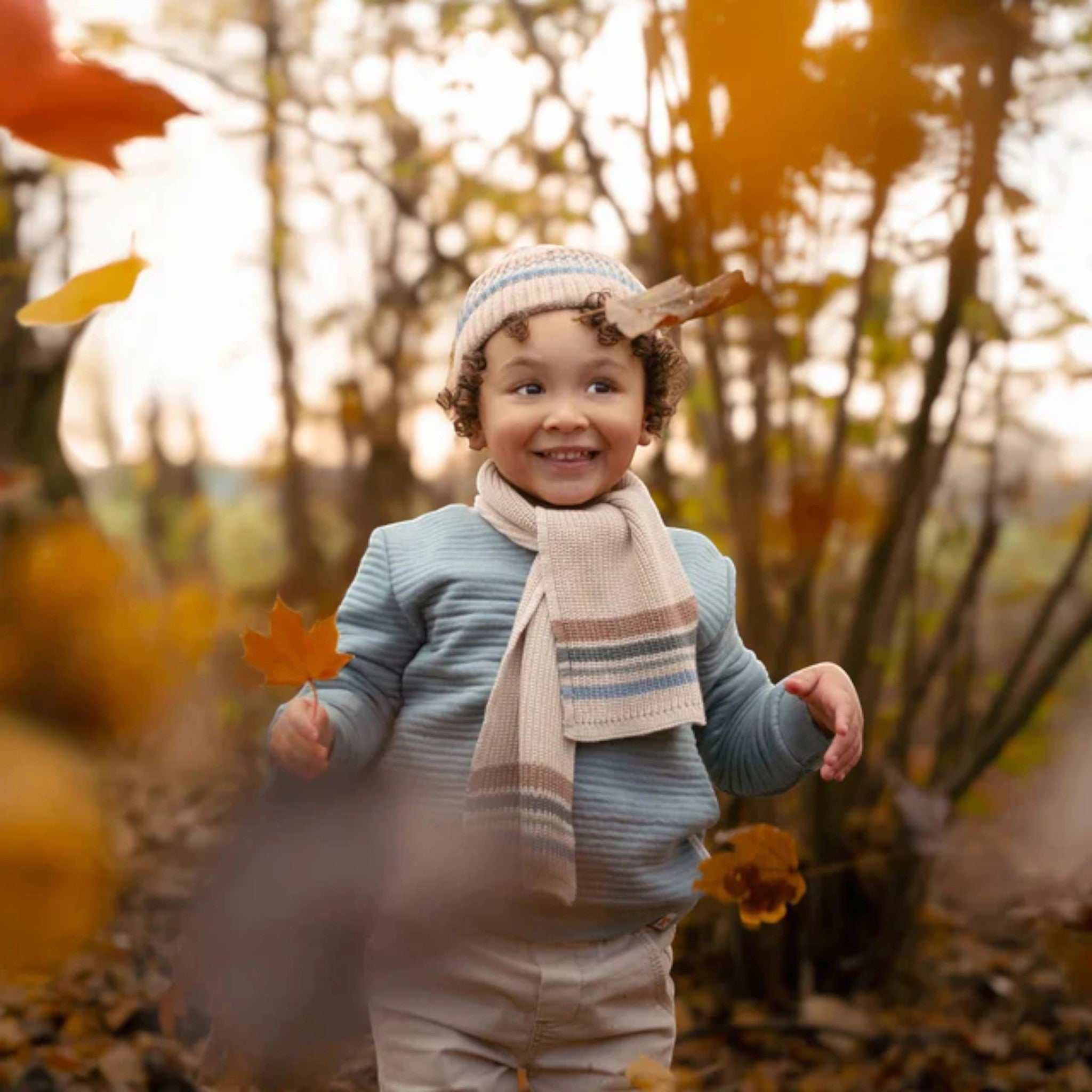 Scarf - Brown - Friends of the Ivory Forest CL25099021