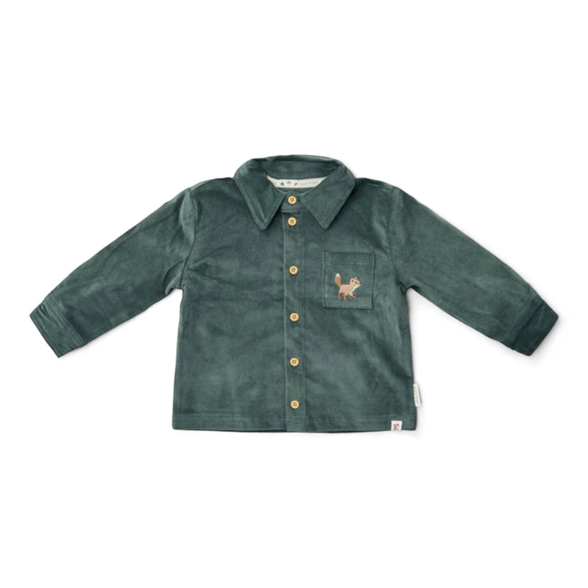 Camicia - Amici della foresta Bimbo Verde CL25091073