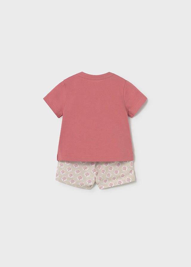 Completo Pantaloncini Polo Arancione 1281/48