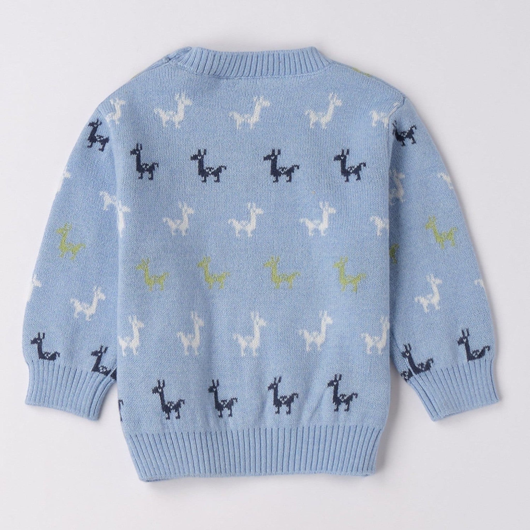 Maglia Chiusa Bimbo Blu 3F656/3964 -  NANU' BABY