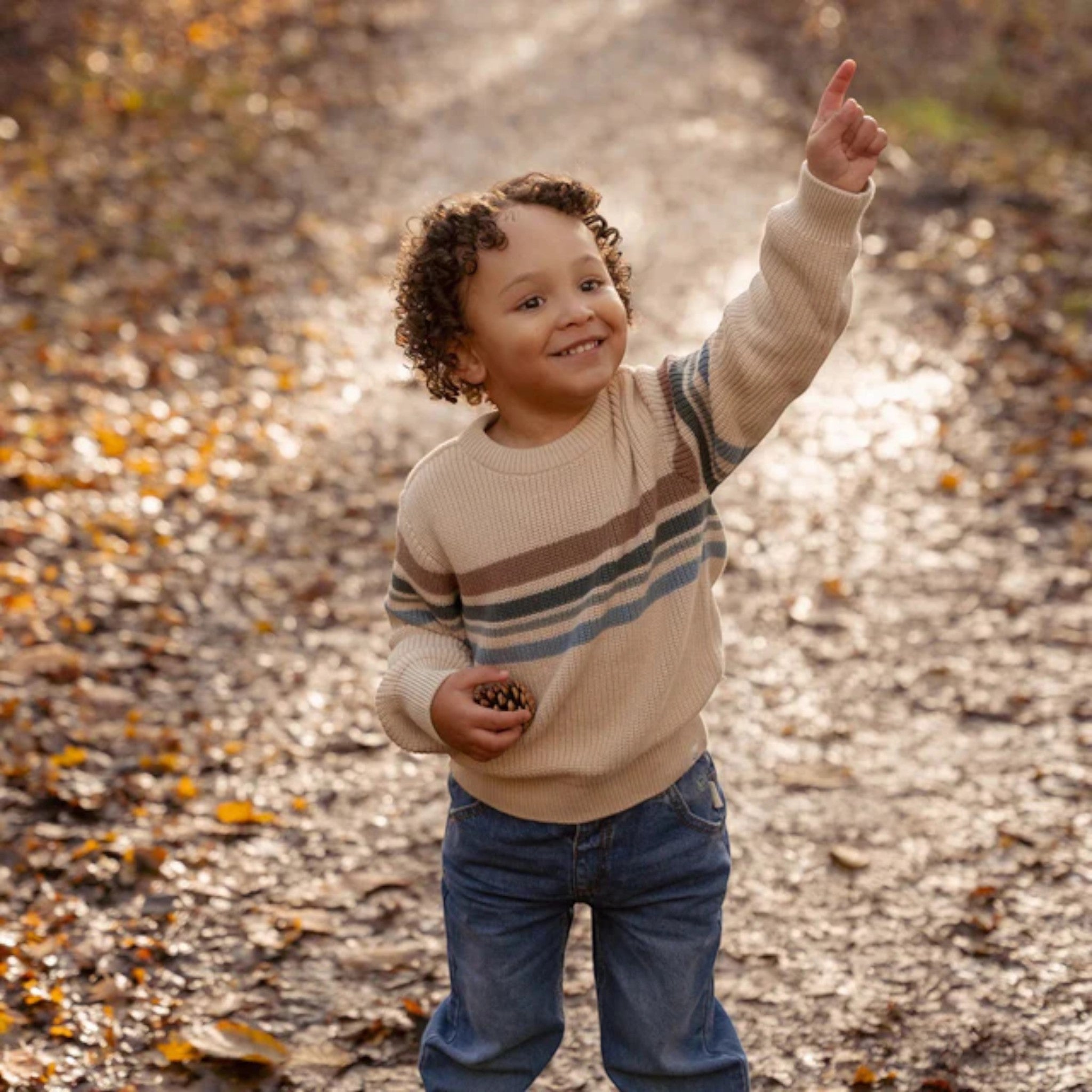 Knitted sweater - Forest Friends - Ivory Stripes Baby Boy CL25092080