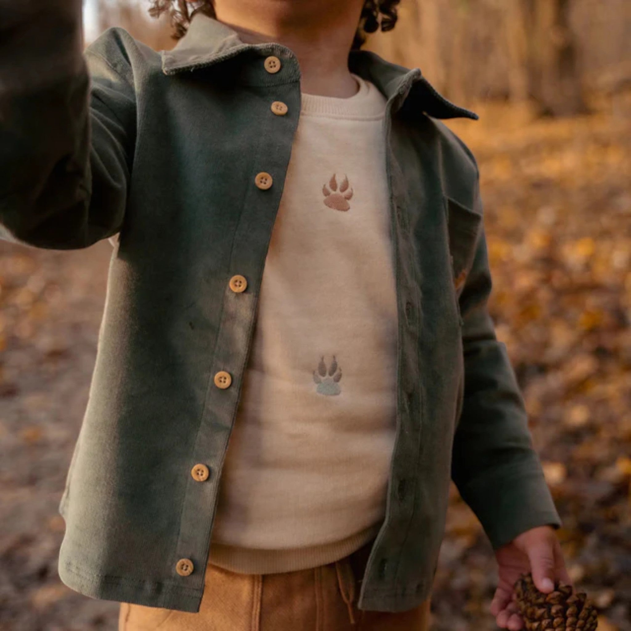 Camicia - Amici della foresta Bimbo Verde CL25091073