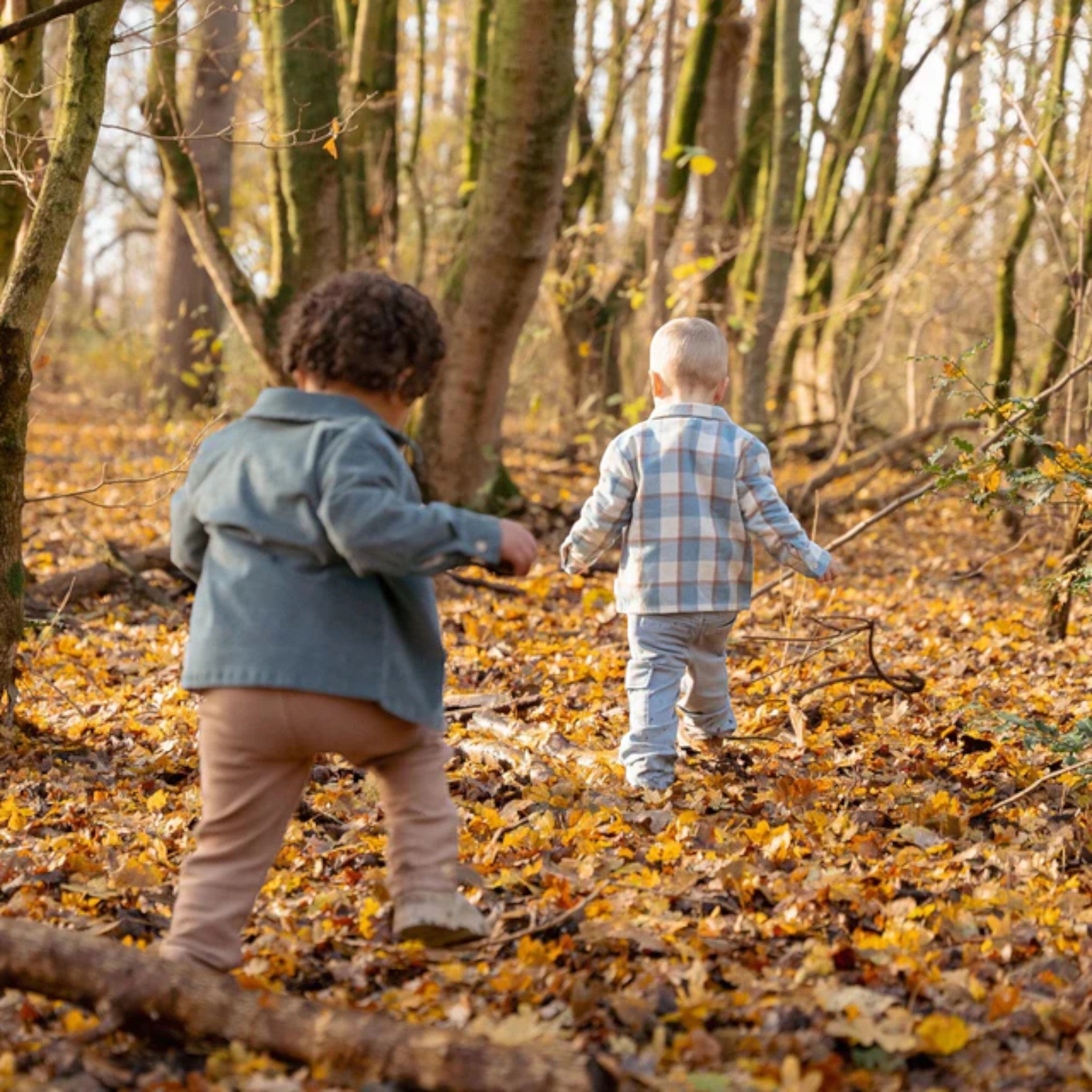 Pantaloni - Tessuto da jogging - Amici della foresta Bimbo Blu CL25093037