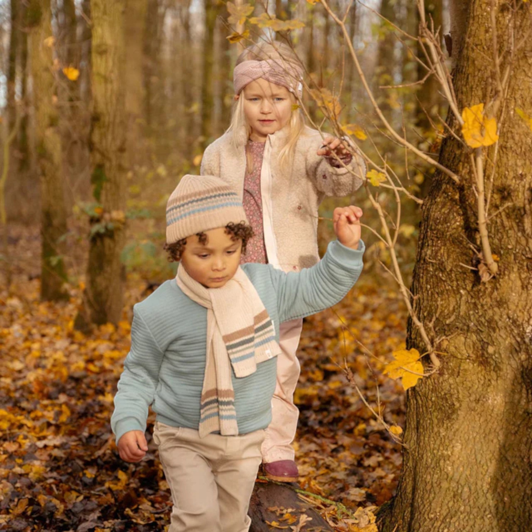 Scarf - Brown - Friends of the Ivory Forest CL25099021