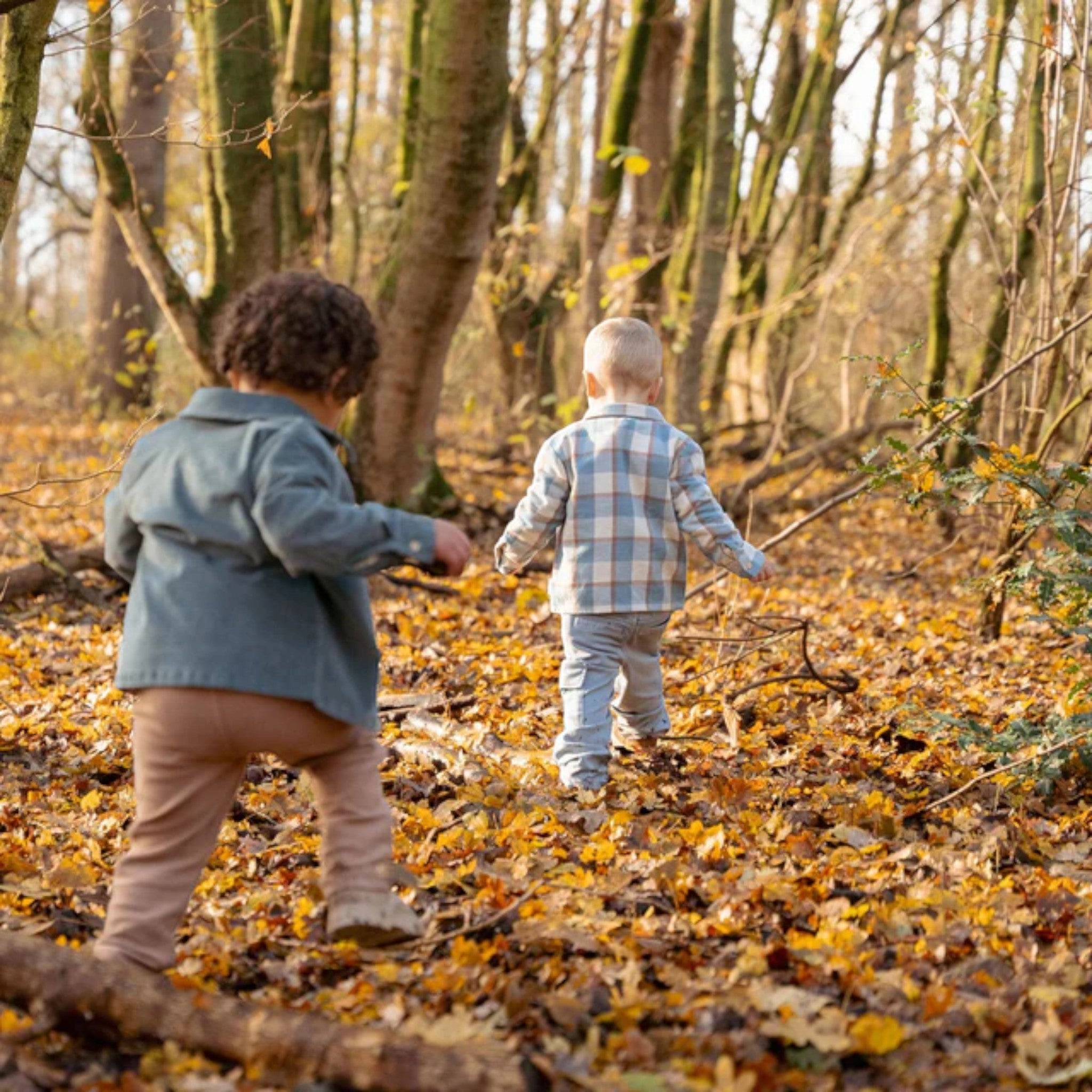 Maglietta - Amici della foresta Bimbo Blu CL25091079