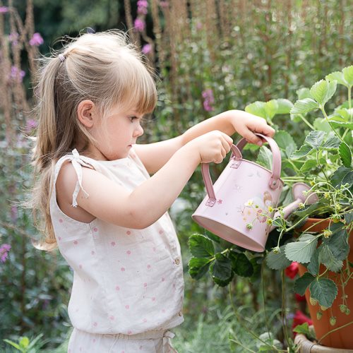 Annaffiatoio - Giardino delle fate  ROSA LD9106
