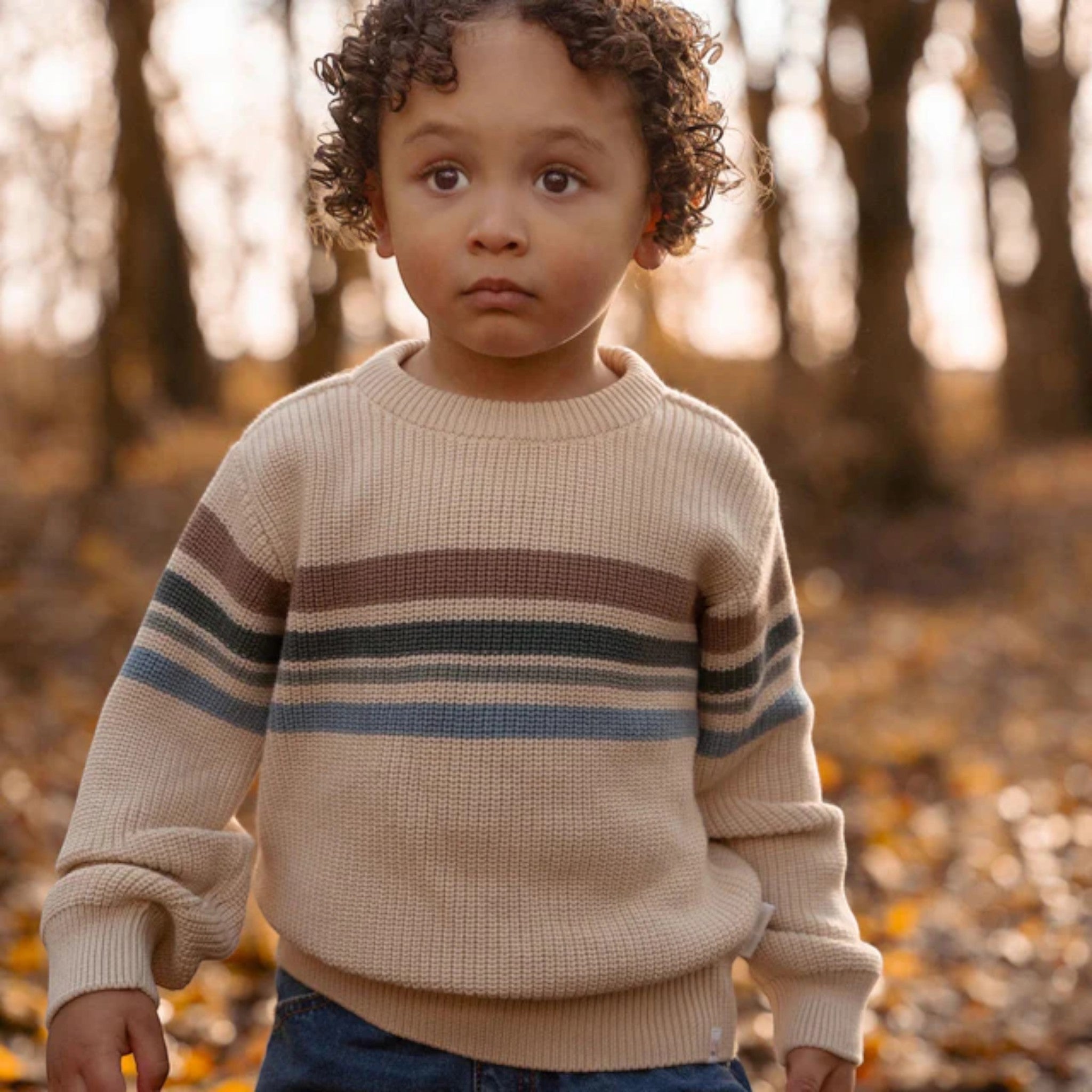 Knitted sweater - Forest Friends - Ivory Stripes Baby Boy CL25092080