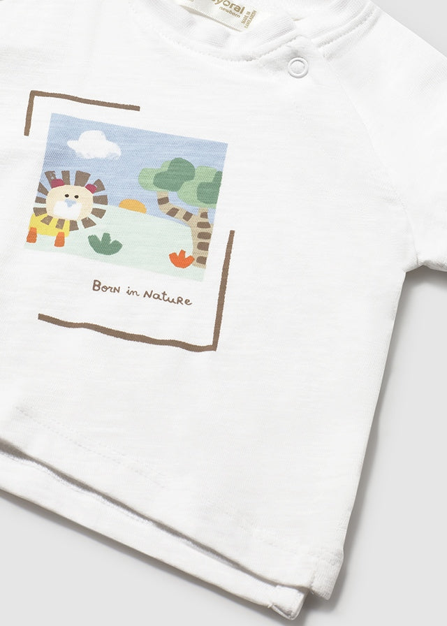 Set 2 Maglie Cotone Giallo 1074/16