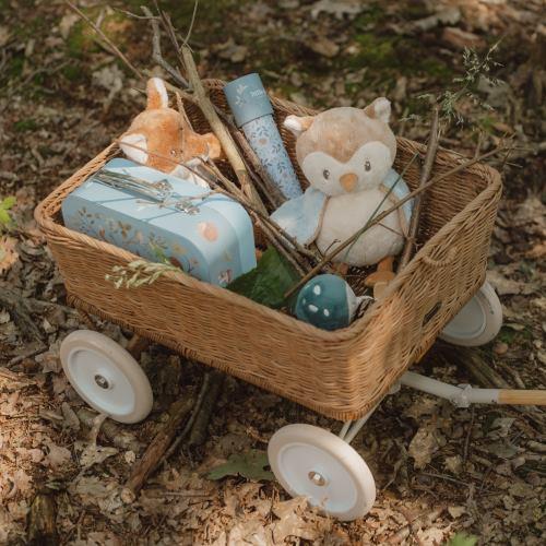 Gufo coccoloso - Amici della foresta  MULTICOLORE LD8903